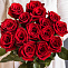 Роза 70 см бордовая 15 шт
