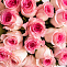 Роза 50 см розовая 25 шт